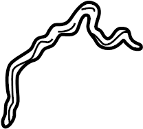 1992-2002 Mazda V6 Timing Cover Gasket KL01-10-533B